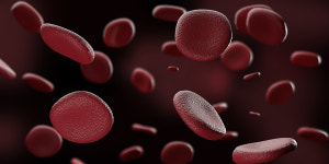 [헬스S] 겨울철 혈관 건강 지키려면 ‘이것’ 드세요