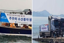 인천시, 인천해역 수산자원 회복 위해 치어 생산