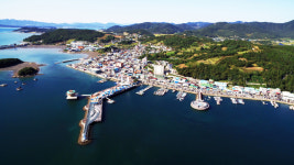 강진 마량놀토수산시장 7일개장…토요음악회 등 축하무대 다채