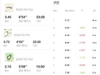 [체험기] 마라톤 8㎞ 만만히 봤다가… 유기동물 생각하며 이 악물었다