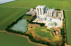 [특징주] 이지홀딩스, 쌀 생산 자회사 지분 보유 부각… 14%↑