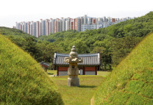 돈만 벌면 된다… 무덤뷰 아파트에 살라니