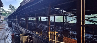 안동 와룡면 돈사서 화재…돼지 900여 마리 폐사