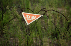 철원서 대전차지뢰 폭발 추정 사고… 수해복구 작업자 1명 사망