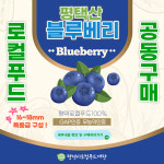 평택시로컬푸드재단, 무농약 GAP 블루베리 공동구매 진행