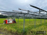 [르포] 영농형 태양광 현장 가보니… 농사에 발전사업까지 일석이조