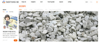 열흘 만엔 주가 20%↑ 태경비케이, 상승세 이어갈까