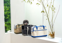 연예인도 엄지척…반려동물 라이프스타일 브랜드 리카리카