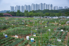 뱅뱅어패럴여주점주 | [단독] 청바지 신화 '뱅뱅' 차남 소유 여주 땅 경매 처분… 낙찰자 봤더니?