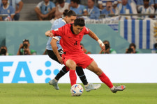 [헬로 카타르] 벤투호 '빌드업' 축구… 강호 '우루과이' 혼쭐