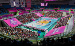 여자배구, 흥행 고공 행진… 김연경 효과 흥국생명 대박