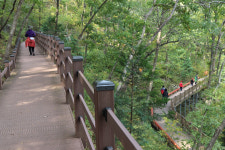 생태·힐링여행지 보성 제암산자연휴양림 어떤 곳?