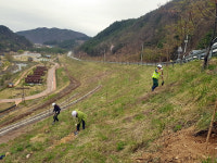 영주시, 나무 나누어주기 행사 연다…명품숲 조성