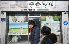 소형 동물병원 제2종→제1종 근린생활시설… 건축법 시행령 개정 입법예고