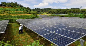 배터리에 집중된 한국 친환경 정책… 찬밥 태양광 울상
