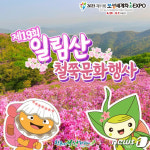 보성 일림산 철쭉 문화축제 5일 용추계곡 일원서 팡파르