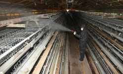 가축전염병 중대 방역기준 위반 시 농장 폐쇄… 10월부터 시행