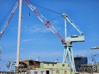 [CEO초대석] 윤종호 대선조선 대표 2024년에는 흑자 낼 것