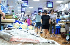 [포토스토리] 코로나보다 더 힘들다 후쿠시마 논란 속 썰렁한 노량진수산시장