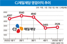 K푸드 세계화 원조 CJ제일제당, 캐시카우 역할 이어갈까