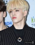 '세븐틴' 에스쿱스 활동 중단… 