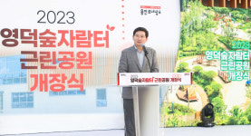 용인특례시, 축구장 9개 규모 영덕숲자람터근린공원 개장