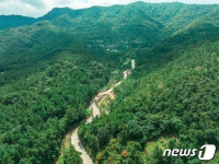 영암 기찬자연휴양림 내달 4일 개장