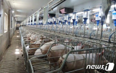 전남도, 가축분뇨 처리사업 추진…사업비 238억 확보