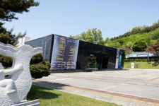 [설 명절, 여기 어때?] 대부도부터 안산식물원까지 가족과 함께 즐겨요