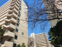 [정비록] 압구정3구역 정조준… 현대건설 분주한 행보