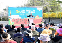 [파주소식] 금촌동에 시민 주말농장 개장 등