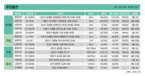 팔라디오 사진 3