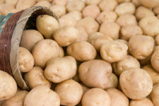 [생생장터] 이번주 장바구니 가격은… 제철 감자 사세요