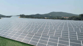 태양광 사업 관련 특혜 제공 혐의… 前 태안 공무원 구속기소