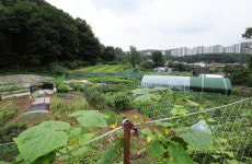 [STOCK] 수도권 그린벨트 해제 소식에 건설주↑… 신원종합개발 상한가