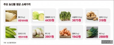 [생생장터] 무·시금치 평년보다 50%↑… 이번주 장바구니 가격