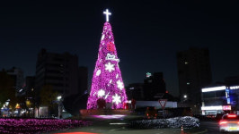 [안양소식] 안양역 광장 성탄트리 점등