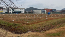 경기, 도시텃밭 96곳 토양 중금속 안전