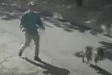 산책 가는 줄 알았는데… 반려견 나무에 묶고 도주한 주인(영상)