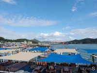 임영웅이  띄운 마량놀토시장 내달 12일 개장