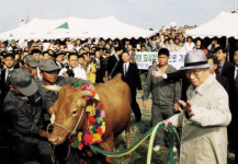 줄지어 판문점 건넌 소 1001마리… 선두엔 정주영 회장 [오늘의역사]