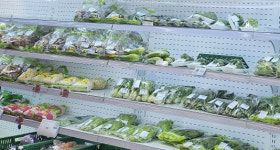 경기도 로컬푸드 잔류농약 검사결과 99.2% 적합