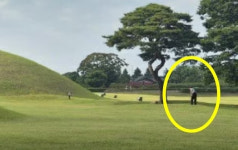 경주 왕릉 잔디밭서 골프 연습, 외국인도 깜짝… 한국선 저래도 돼?