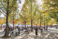 [머니S포토] 9월 가을축제 풍성 고양시로 놀러오세요