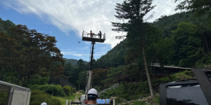 수원서 첫 소나무재선충병 감염 확인…경기도, 긴급대응