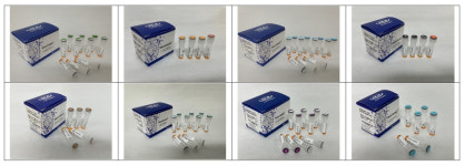 HLB파나진, 파키스탄 암 진단시장 진출… 제품 8종 등록