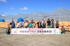 [이천 소식] 부발땅콩 첫 공동 유통 성공