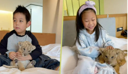 아기 사자가 깨워드려요… 이색 모닝콜 제공한 호텔, 대인기