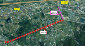 [김천 소식] 아포읍에 유채꽃길 조성 추진