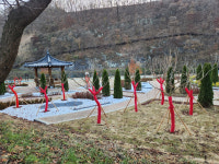 [의성 소식] 원당삼거리 등 월동용 가로수 보호대 설치